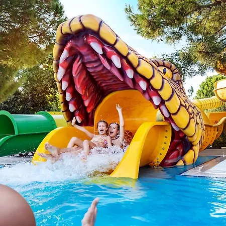 Akka Alinda - Premium Ultra Kemer